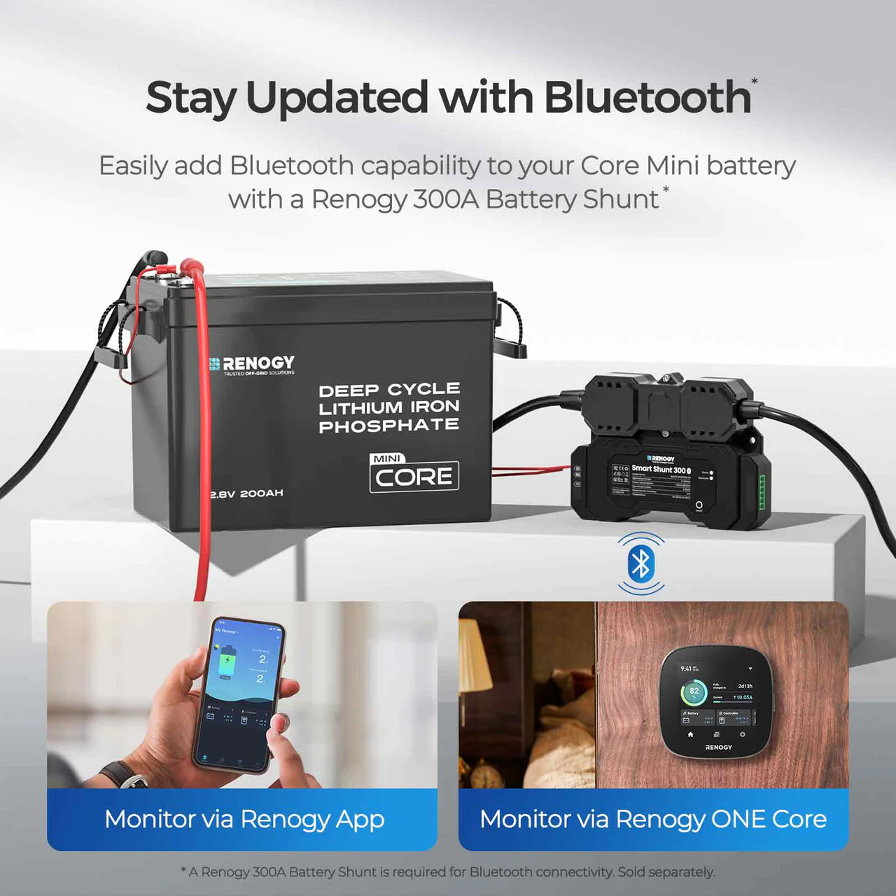 Core Mini - 12.8V Lithium Iron Phosphate Battery 300Ah / 200Ah / 100Ah - Image 20