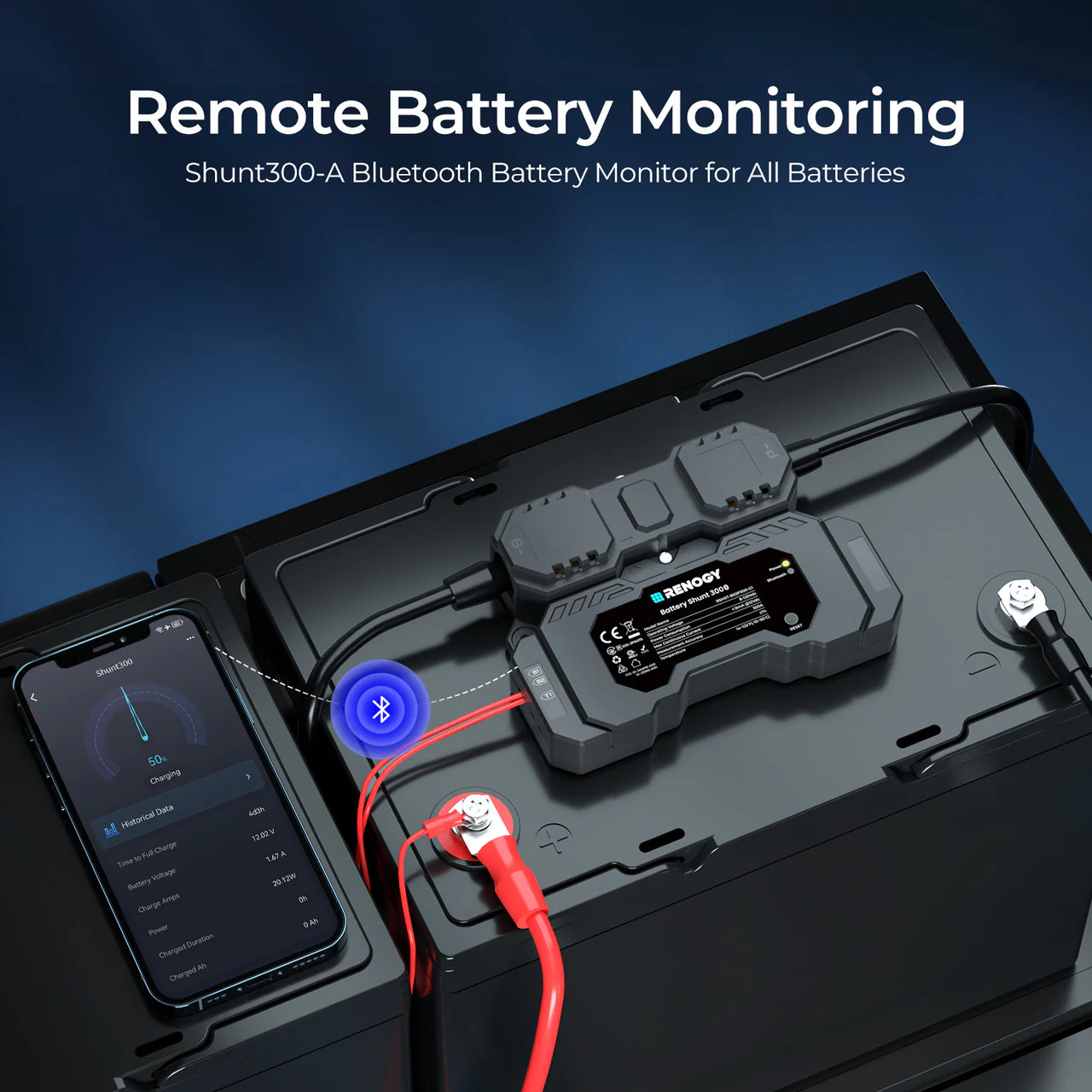 Renogy Battery Shunt 300 - Image 2